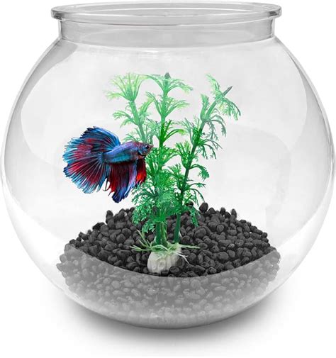 Fish Bowls / Aquariums & Fish Bowls: Pet Supplies .